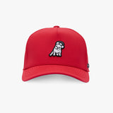 A red baseball cap featuring a small embroidered cartoon dog patch on the front