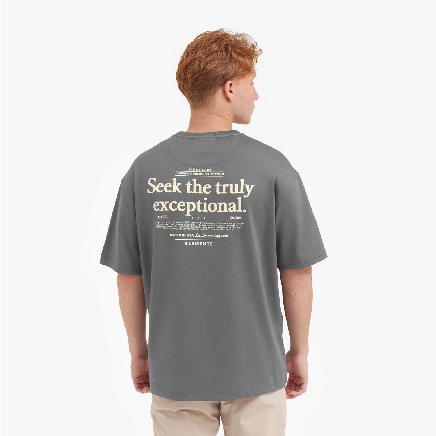 Back view of a male model wearing a gray t-shirt with a large "Seek the truly exceptional" graphic