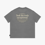 Back view of a gray t-shirt laid flat, featuring the large "Seek the truly exceptional" text graphic