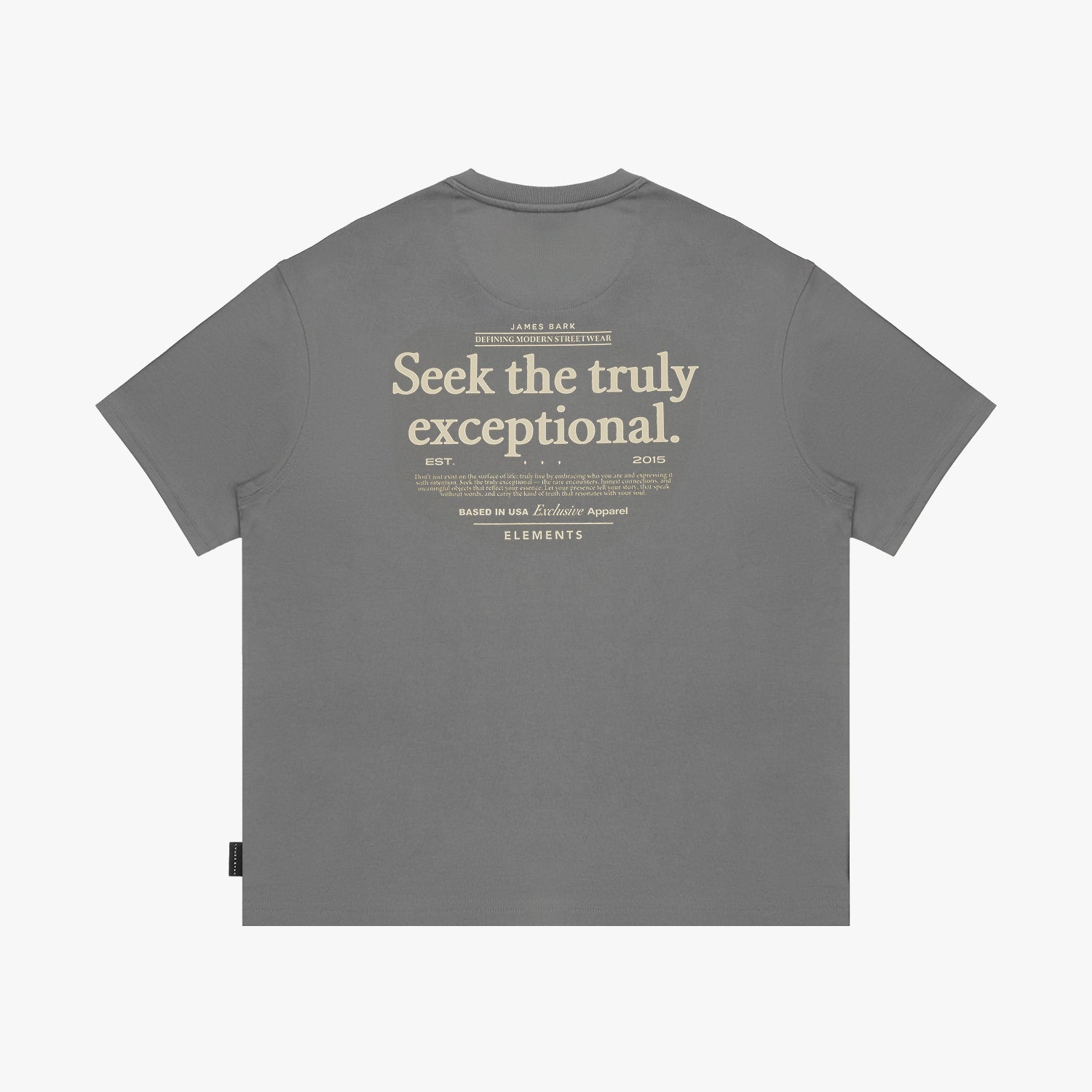 Back view of a gray t-shirt laid flat, featuring the large "Seek the truly exceptional" text graphic