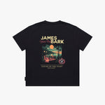 A black T-shirt shown flat against a light gray background, featuring a large graphic print on the back with the text 'JAMES BARK' and 'Luxury by the Coast'. The graphic depicts a sunset beach scene with a pool and palm trees.
