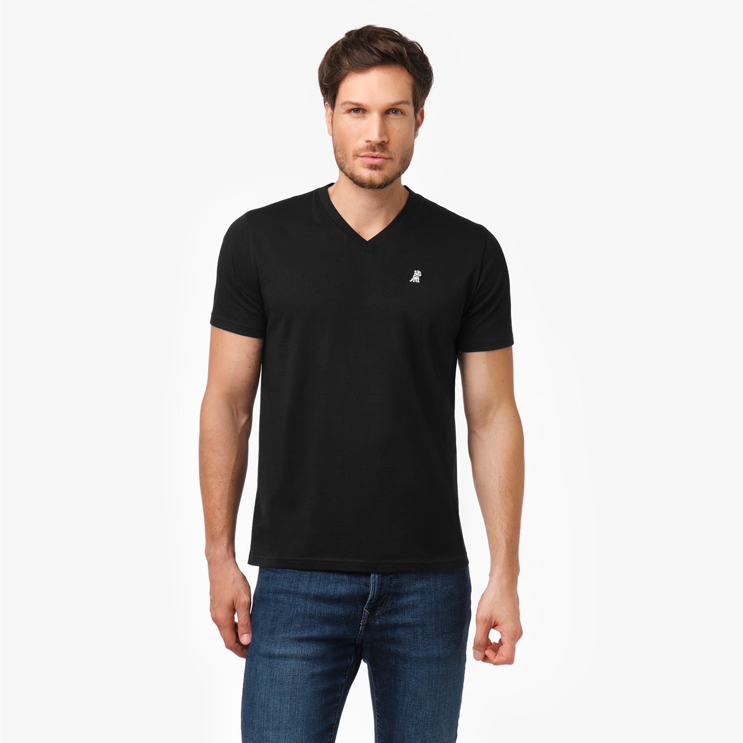 Men's V - Neck Jersey T-Shirt - JAMES BARK
