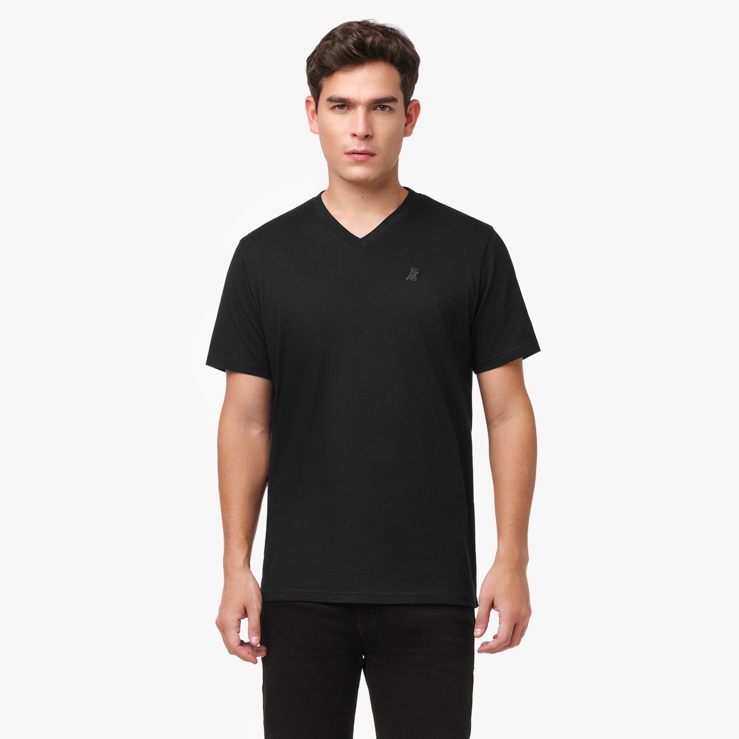 Men's V - Neck Jersey T-Shirt - JAMES BARK