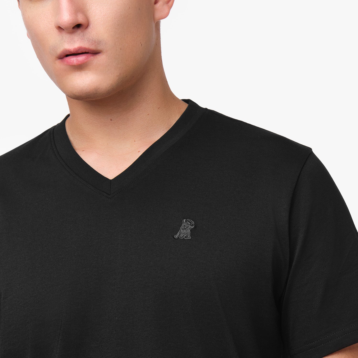 Men's V - Neck Jersey T-Shirt - JAMES BARK