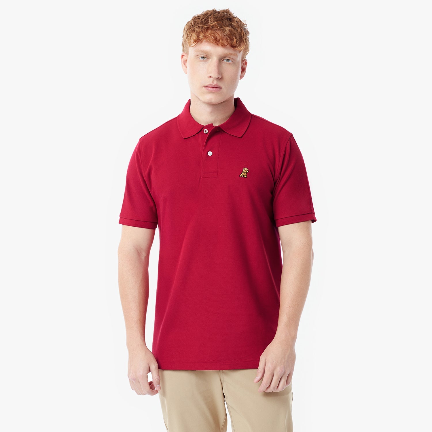 Men's Regular Fit Polo Shirt - JAMES BARK
