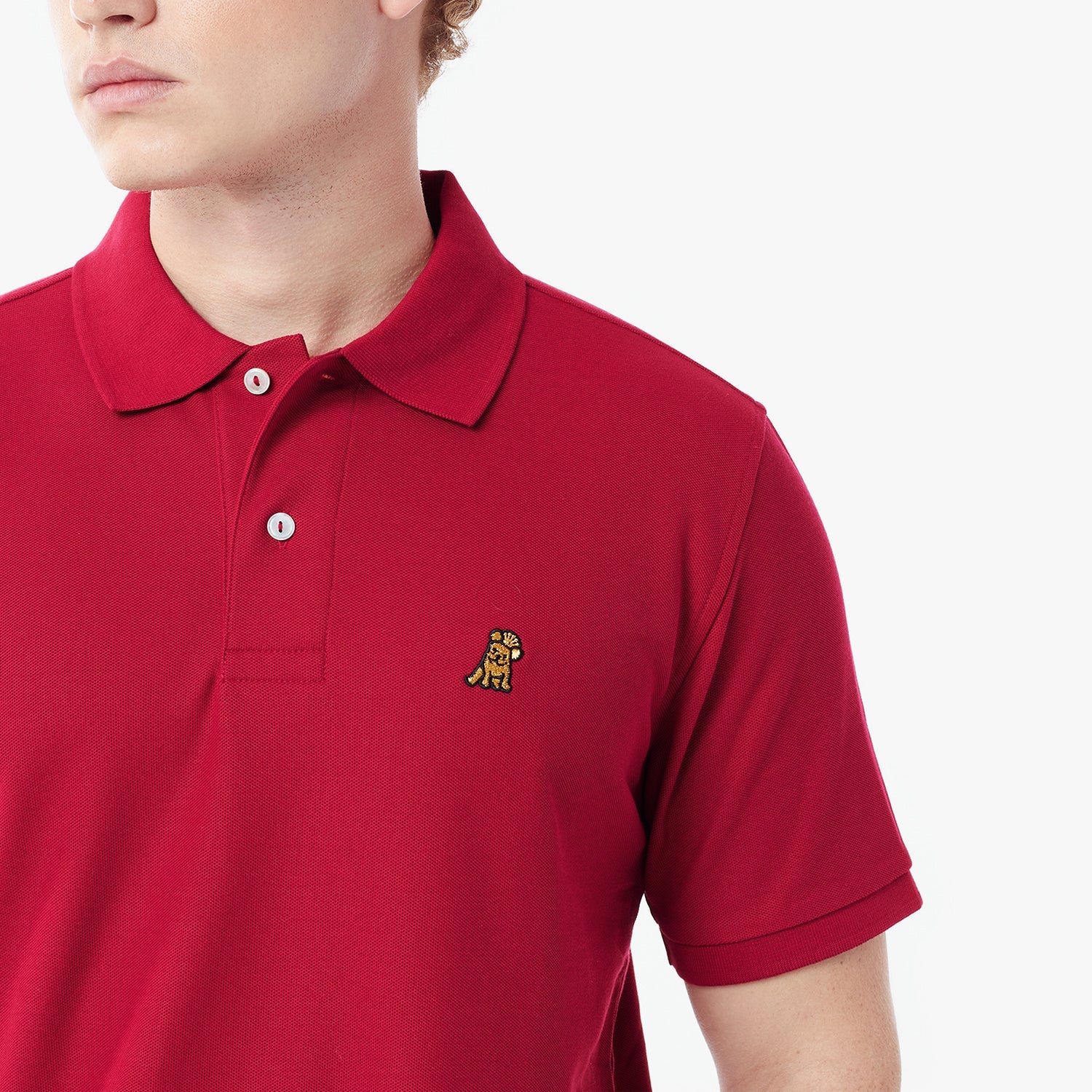 Men's Regular Fit Polo Shirt - JAMES BARK
