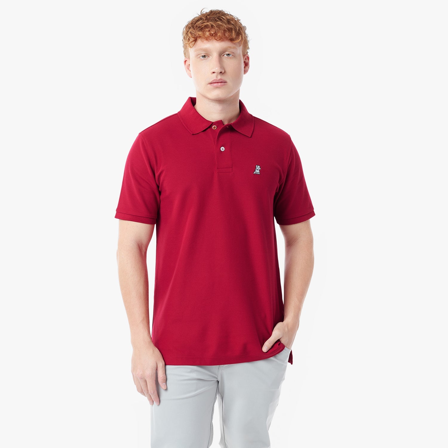 Men's Regular Fit Polo Shirt - JAMES BARK