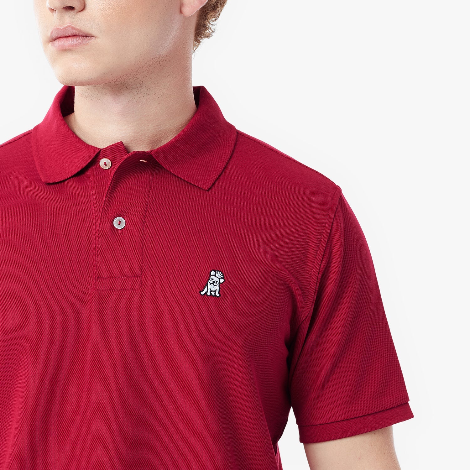 Men's Regular Fit Polo Shirt - JAMES BARK