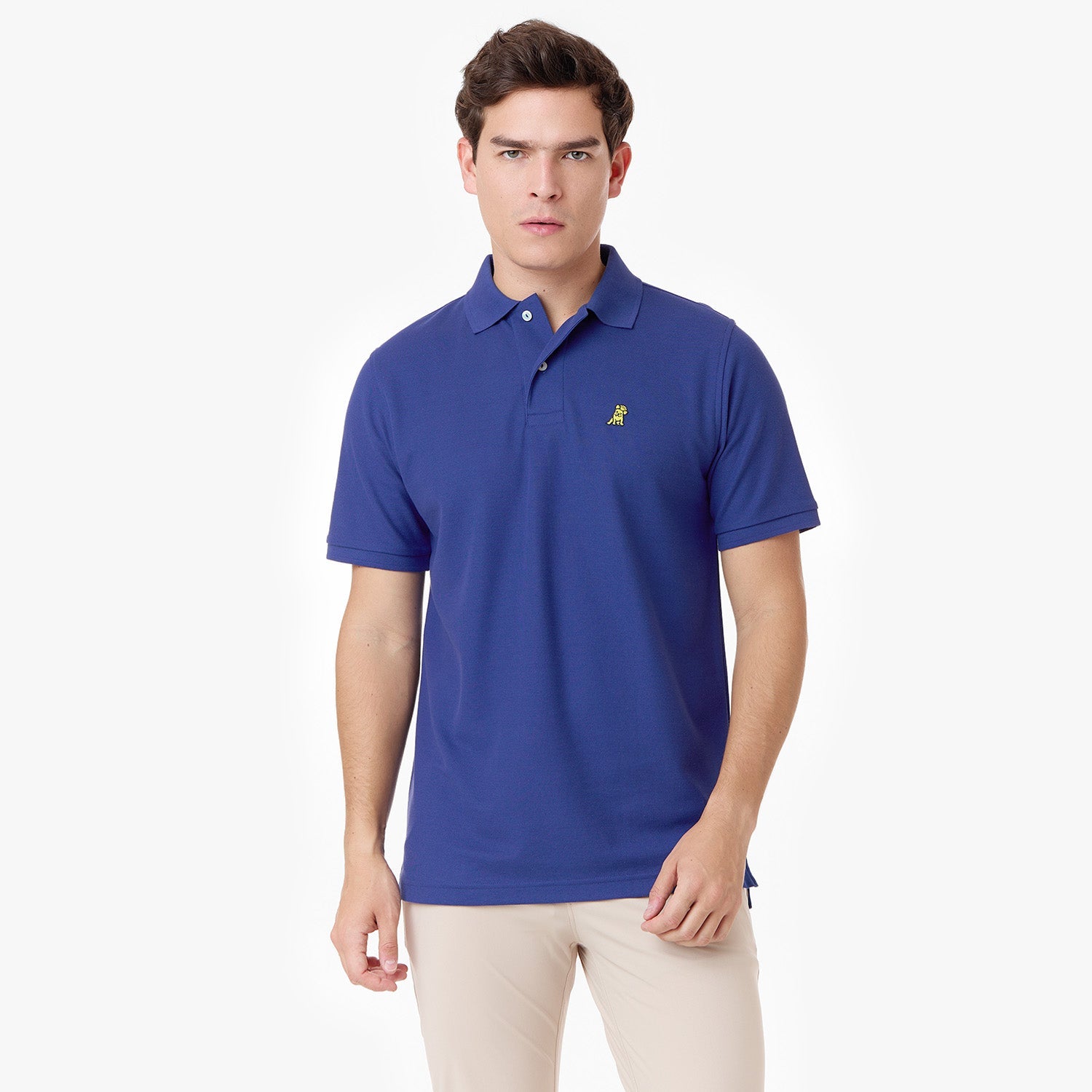 Men's Regular Fit Polo Shirt - JAMES BARK