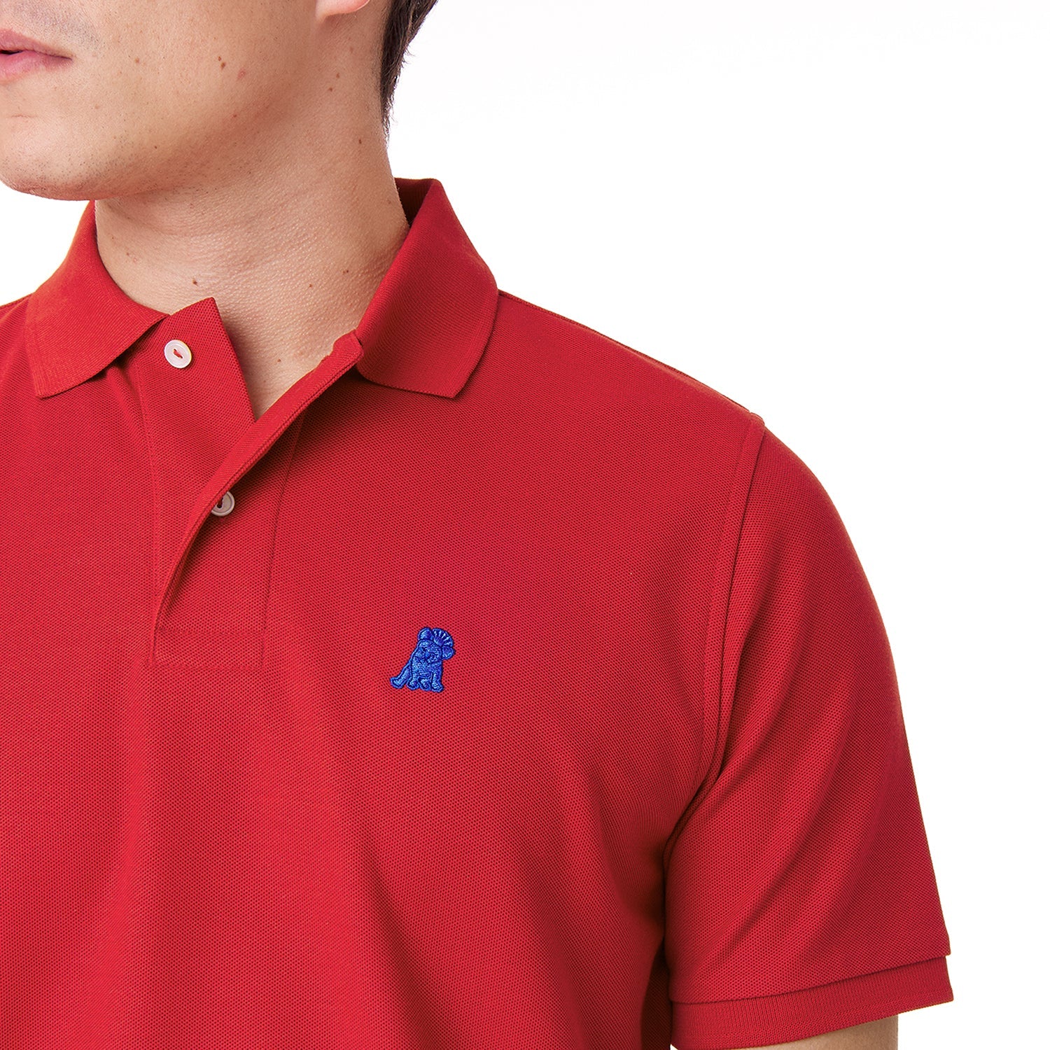 Men's Regular Fit Polo Shirt - JAMES BARK