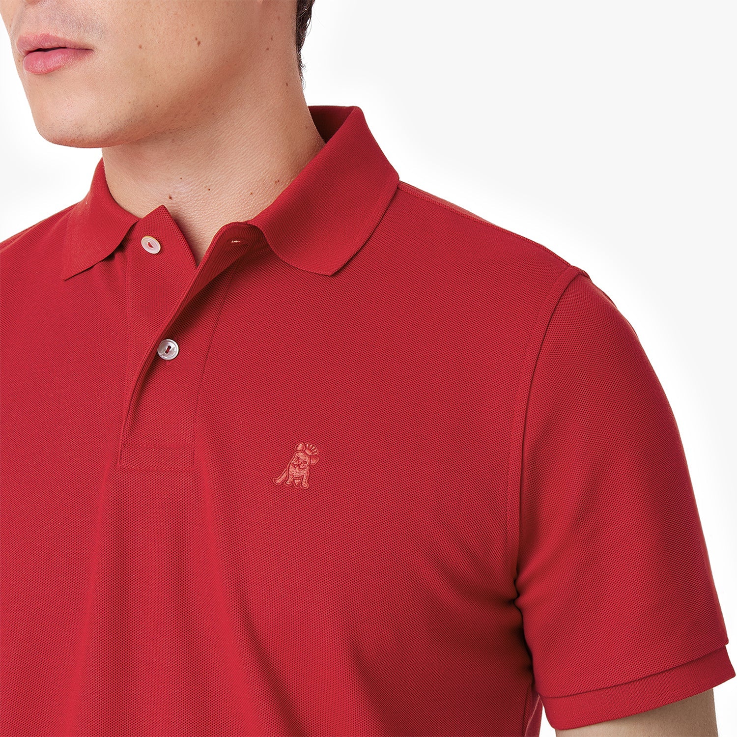 Men's Regular Fit Polo Shirt - JAMES BARK
