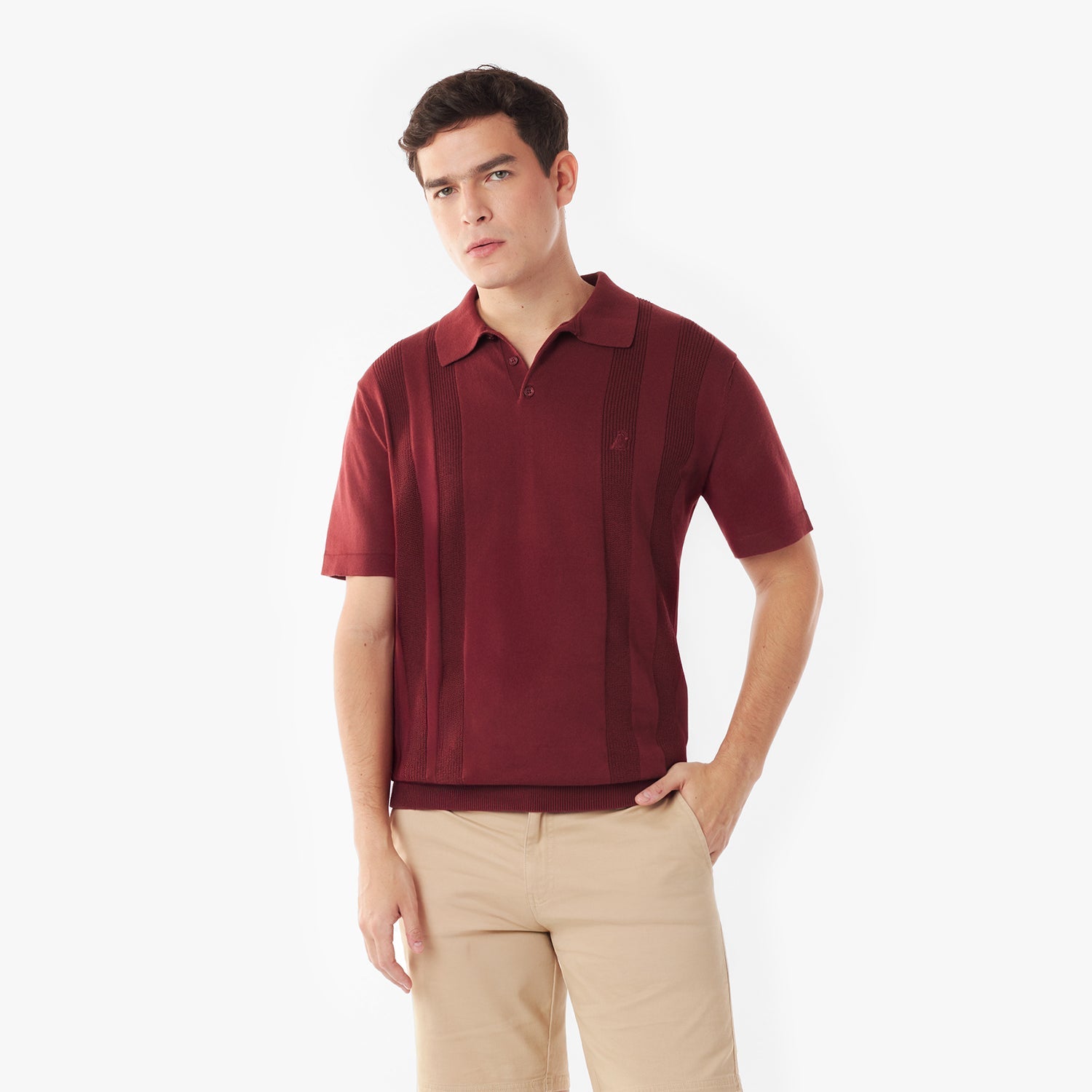 Men's Knit Polo Shirt - JAMES BARK