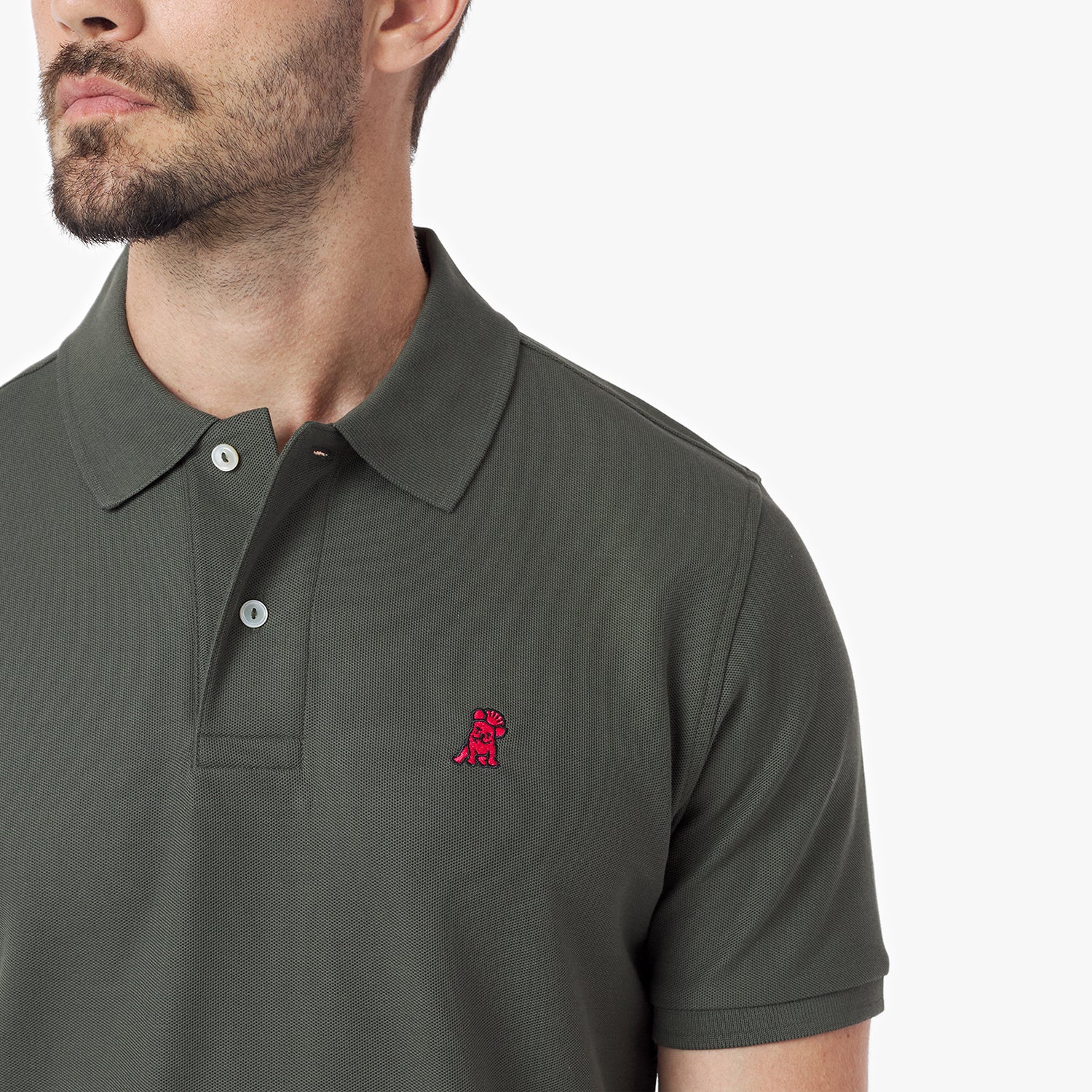 Close-up of a man wearing a green polo shirt with a red logo on a white background