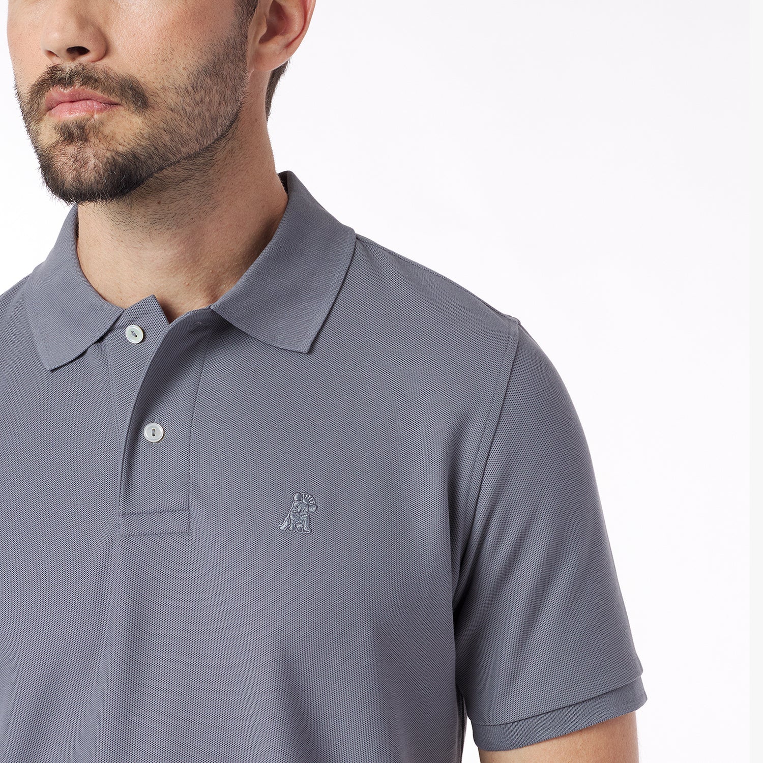 Close-up of a man wearing a gray polo shirt with a small logo on a white background
