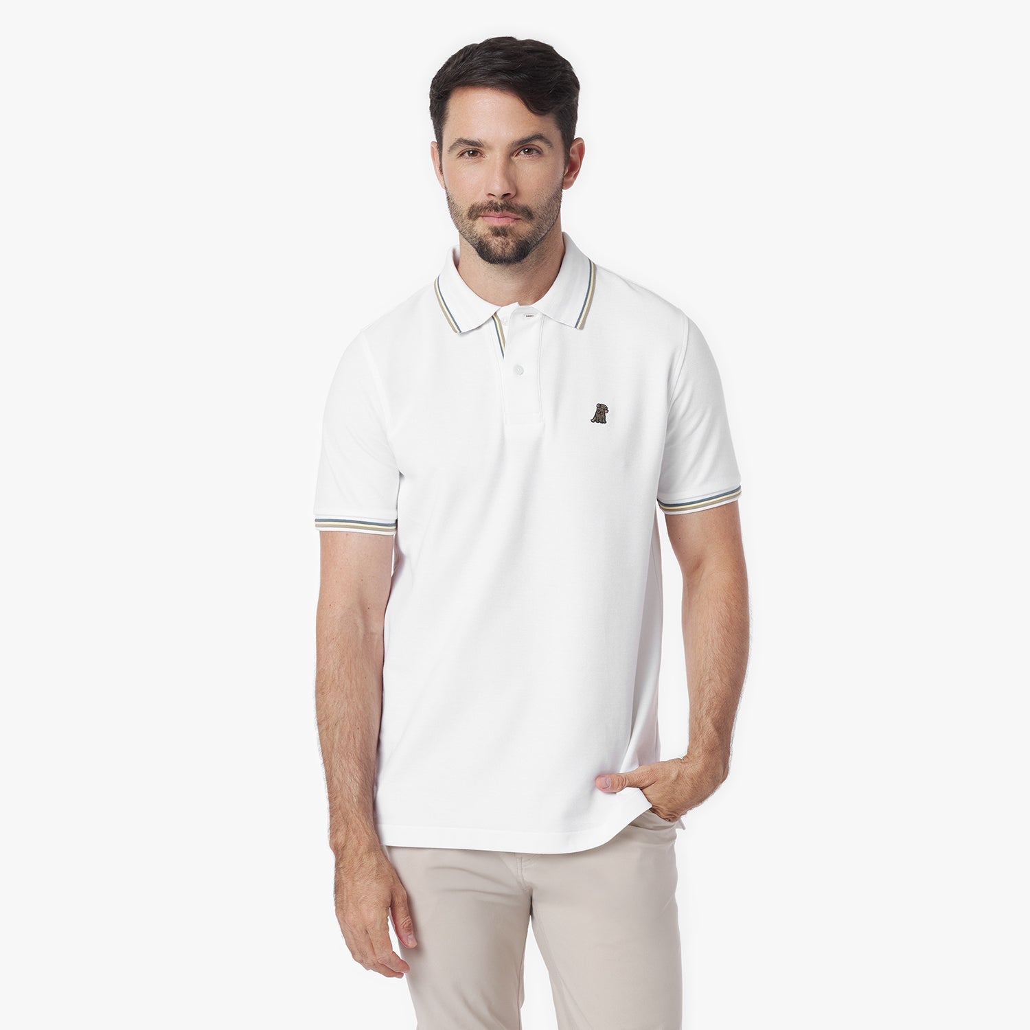 Men's Multi Striped Polo Shirt - JAMES BARK