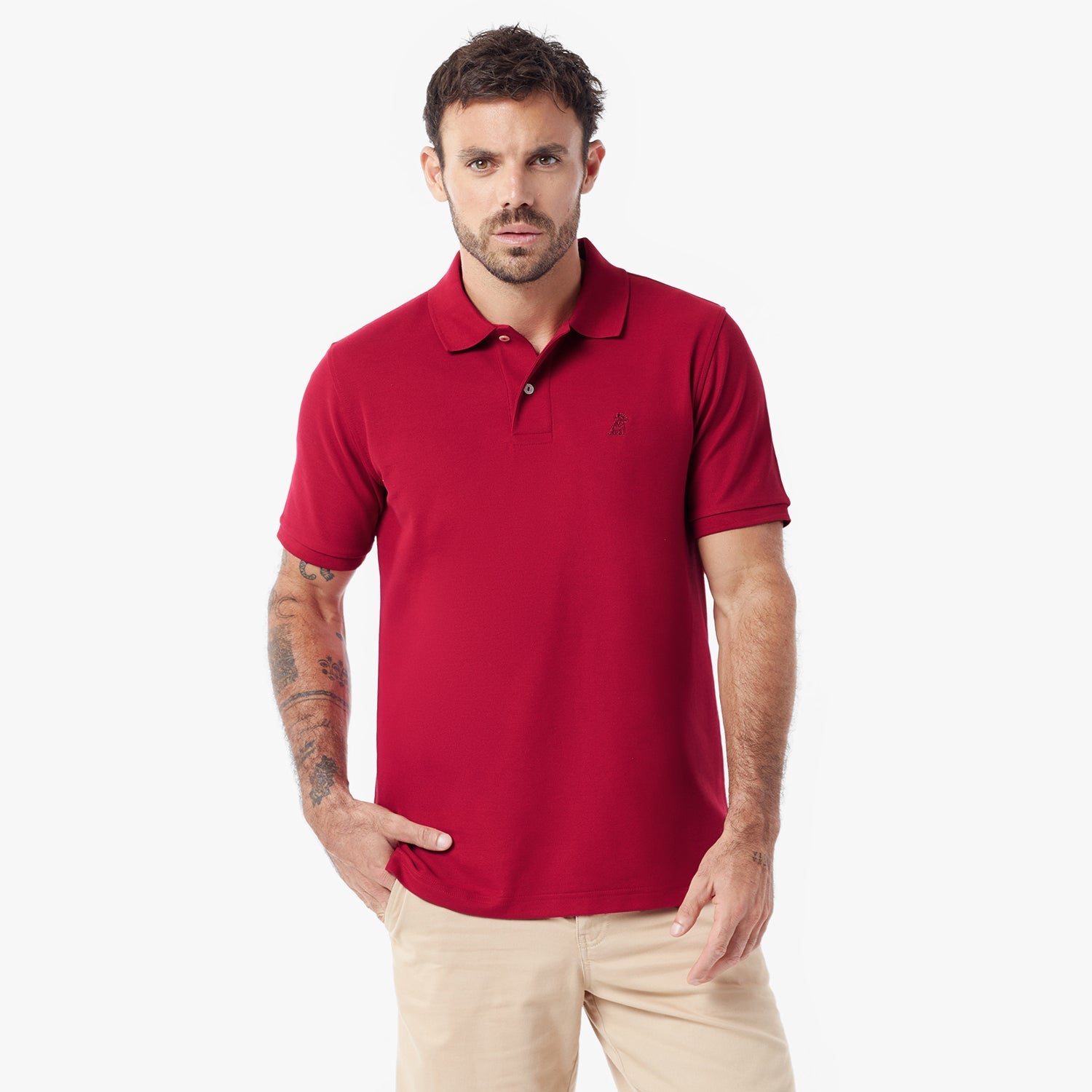 Men's Regular Fit Polo Shirt - JAMES BARK