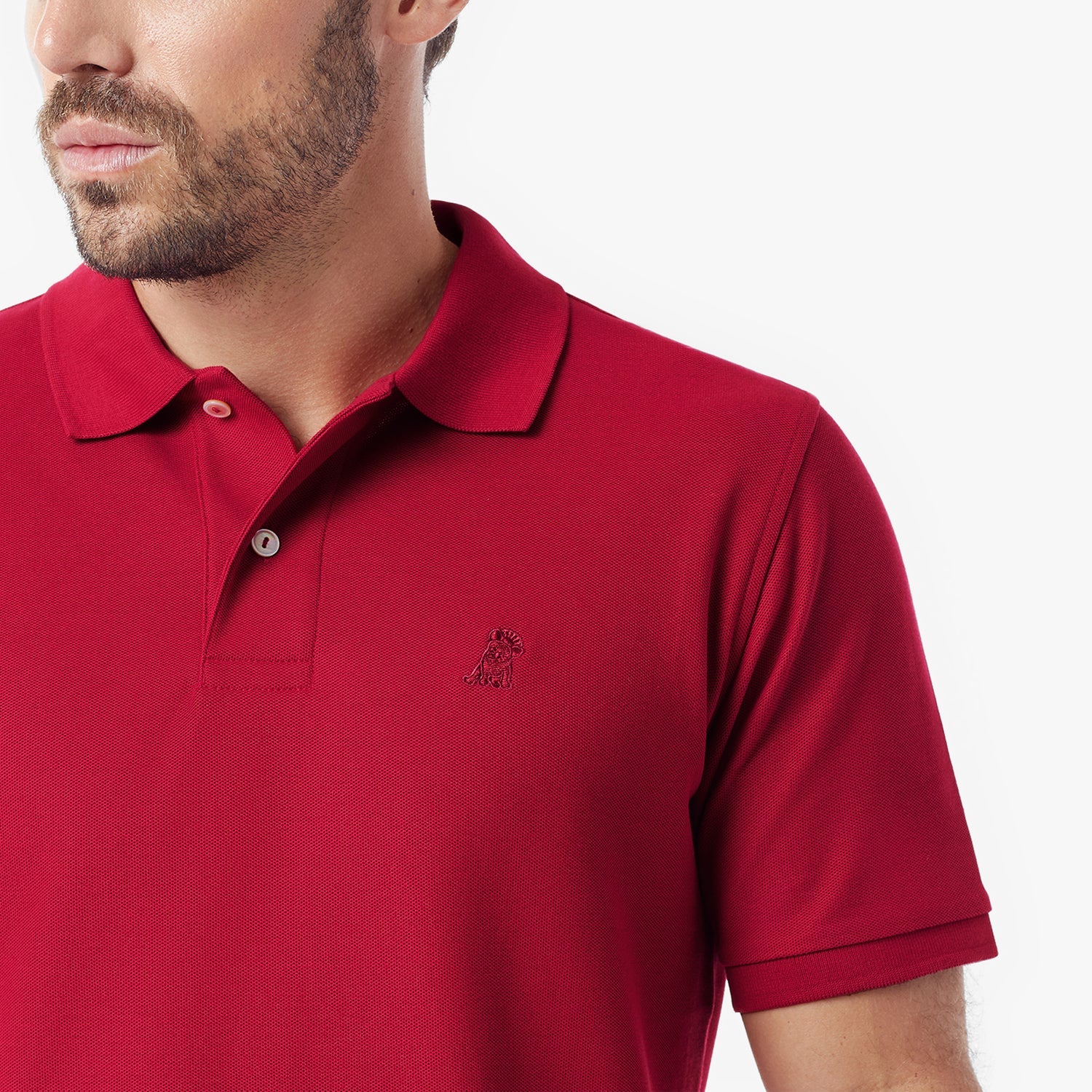 Men's Regular Fit Polo Shirt - JAMES BARK