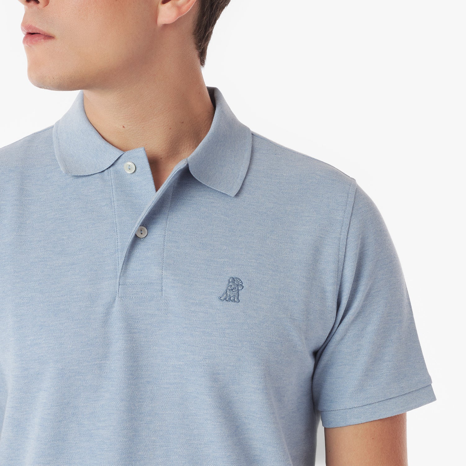Men's Regular Fit Polo Shirt - JAMES BARK