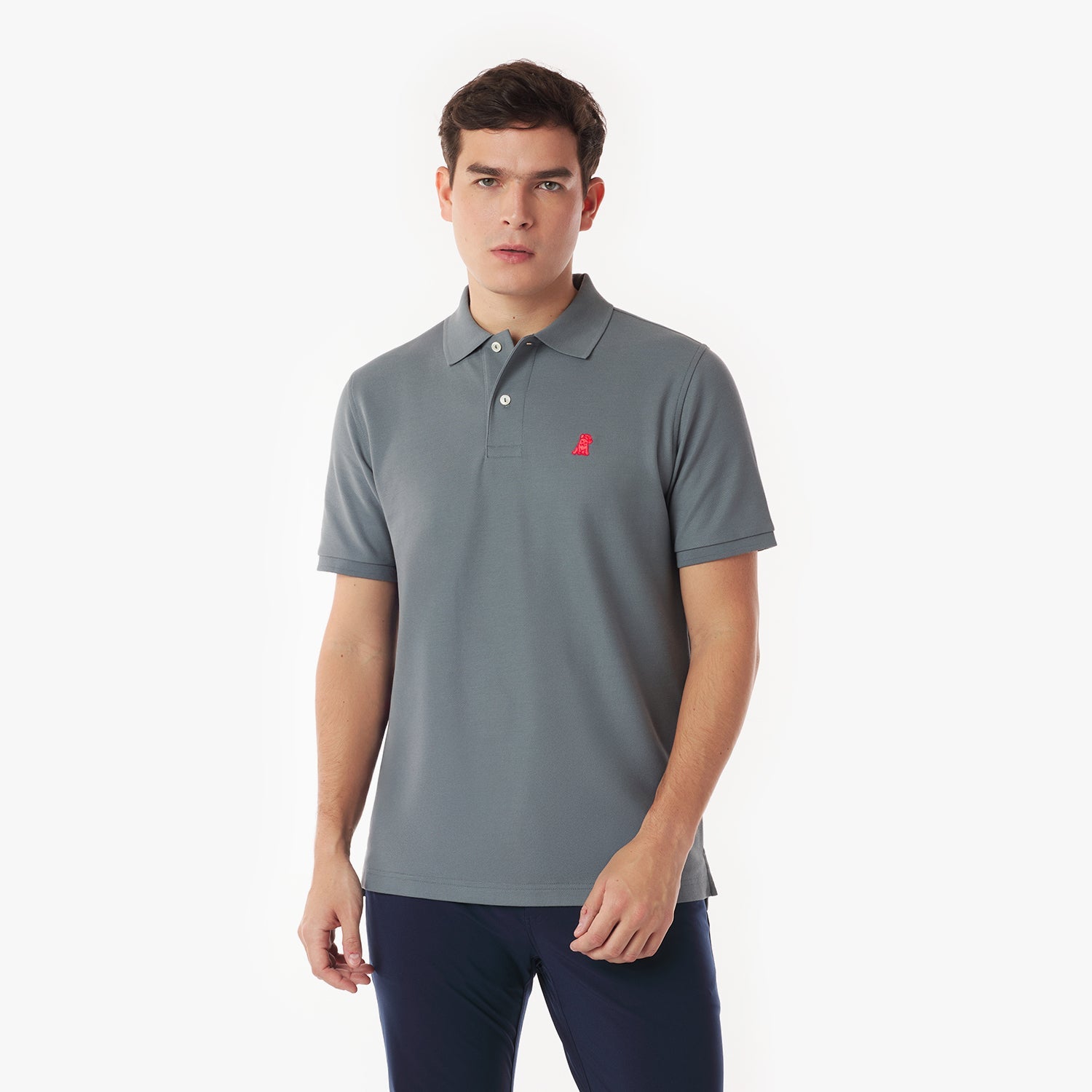 Men's Regular Fit Polo Shirt - JAMES BARK