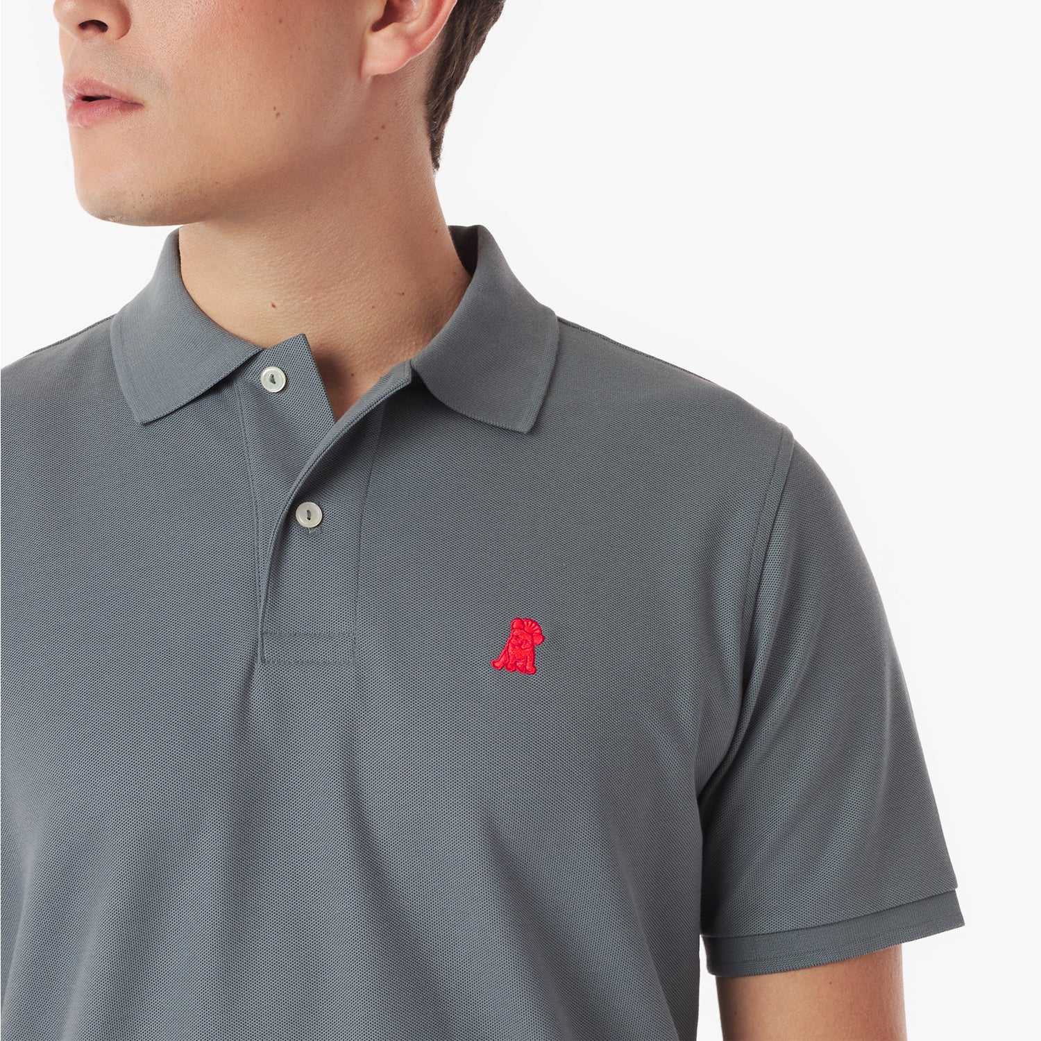 Men's Regular Fit Polo Shirt - JAMES BARK