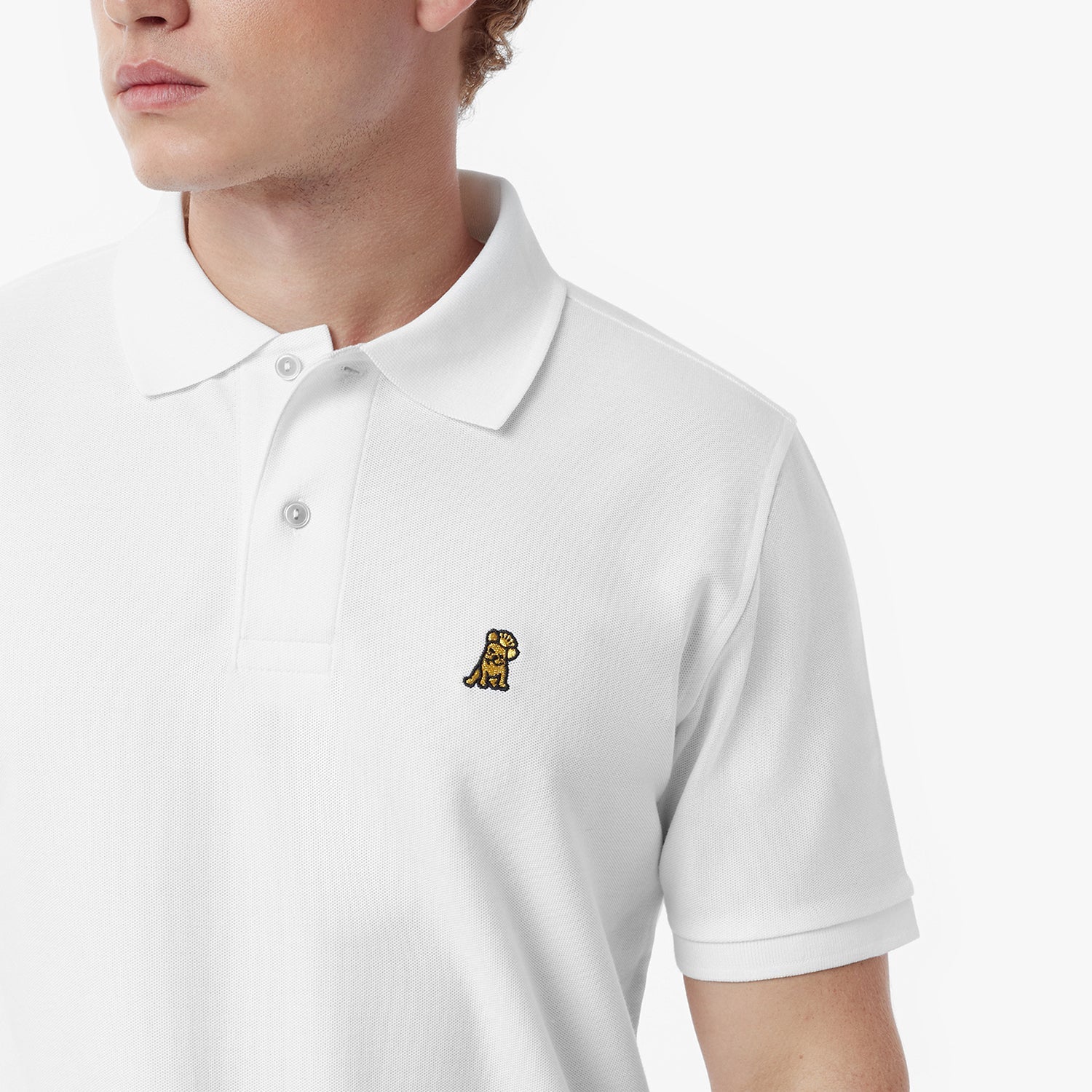 Men's Regular Fit Polo Shirt - JAMES BARK