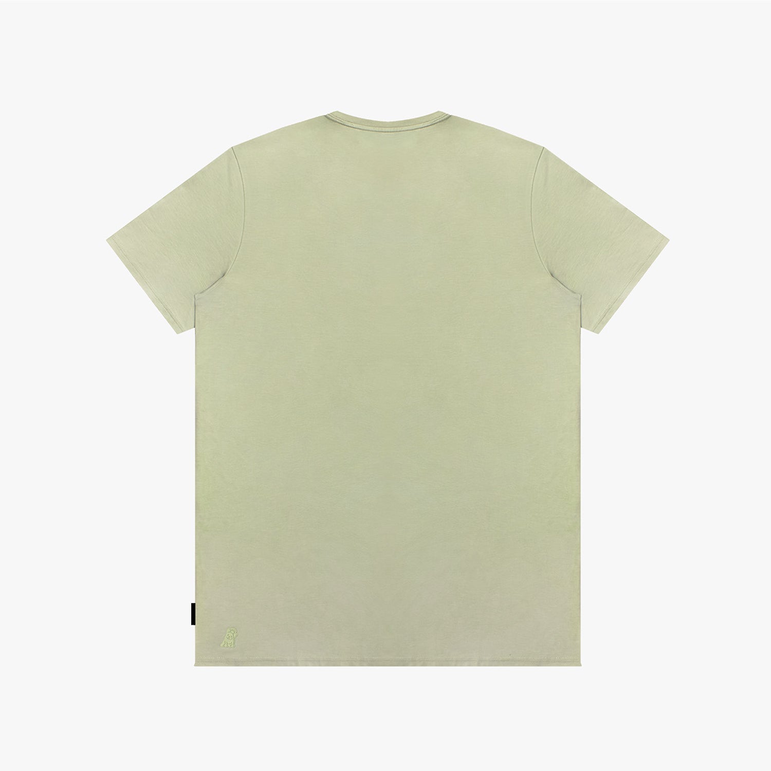Back picture of a light green t-shirt on a white background