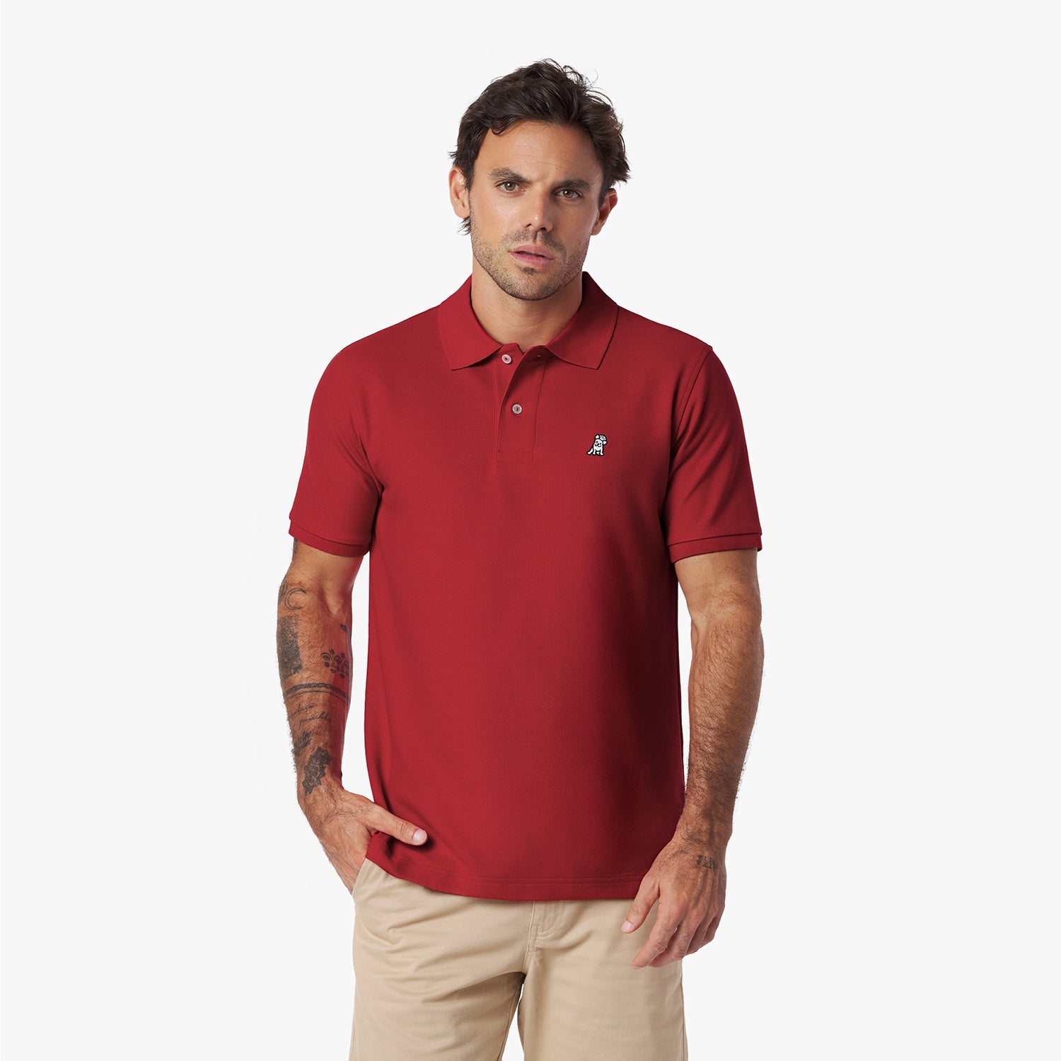 Men's Regular Fit Polo Shirt - JAMES BARK