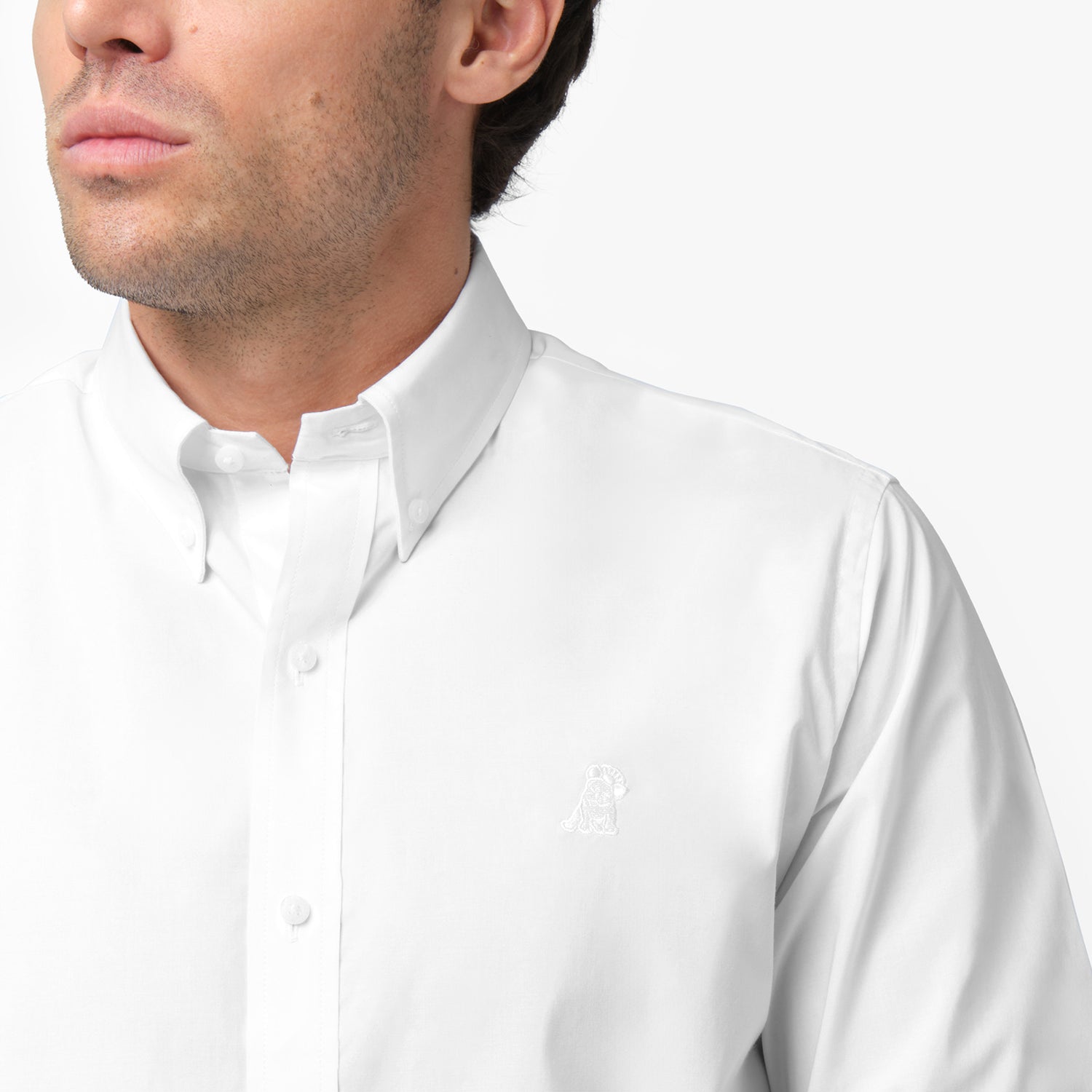 Men's Button Down Poplin Shirt - JAMES BARK