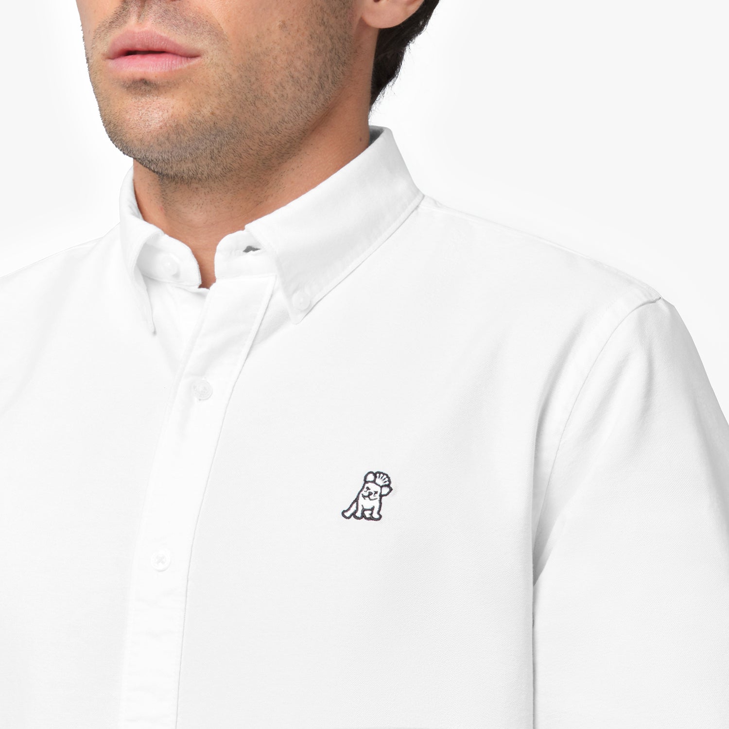 Men's Oxford Button Down Shirt - JAMES BARK