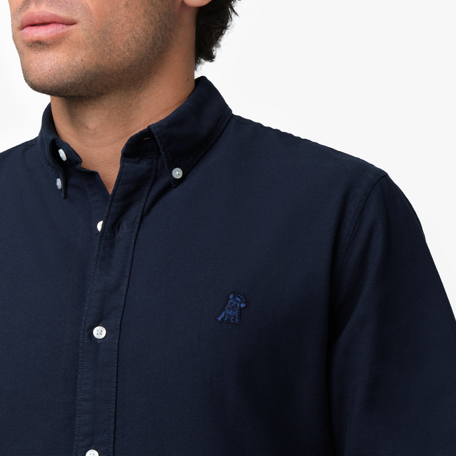 Men's Oxford Button Down Shirt - JAMES BARK