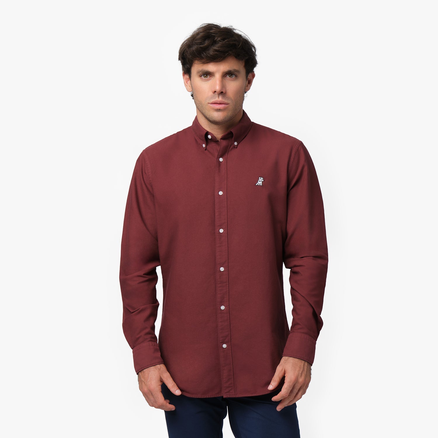 Men's Oxford Button Down Shirt - JAMES BARK
