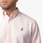 Men's Oxford Button Down Shirt - JAMES BARK