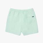 Back of the light green shorts with a small logo on a white background