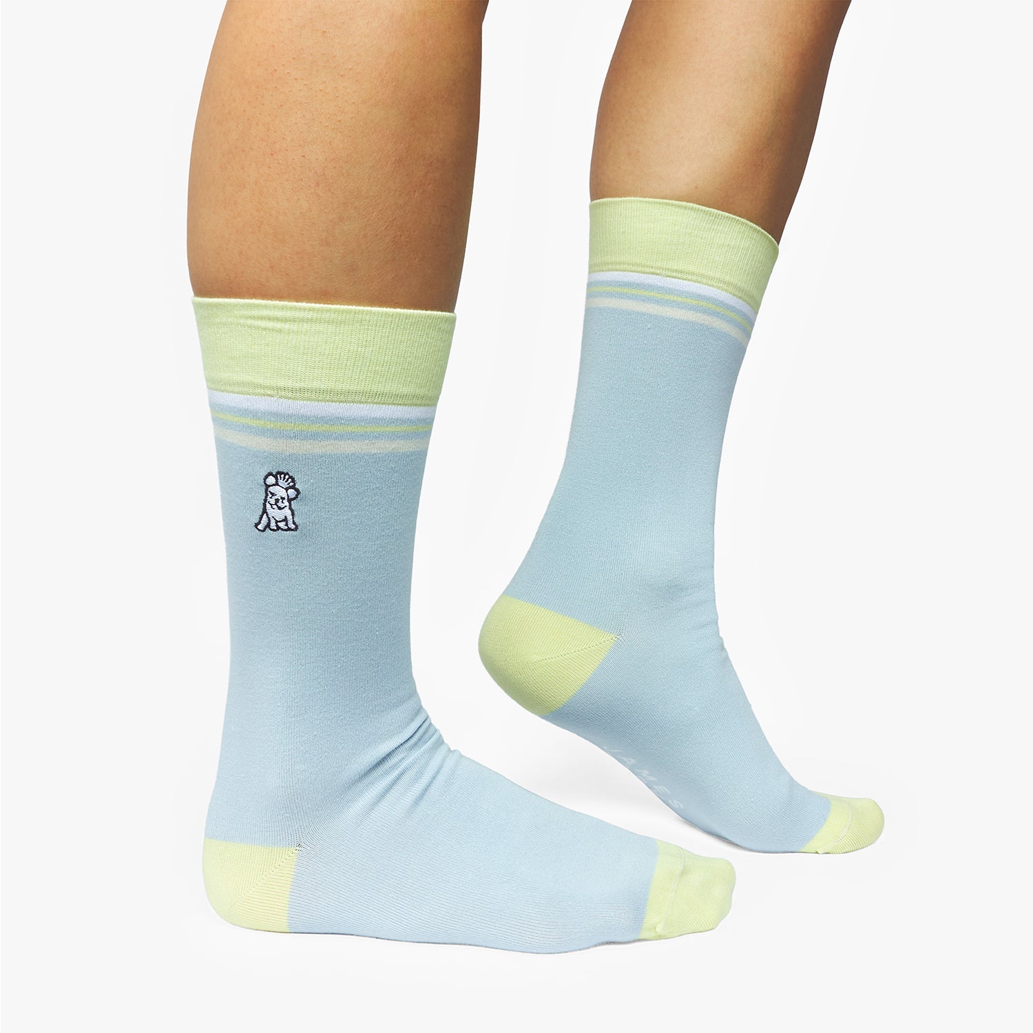 Light blue socks with green accents worn by a person on a white background