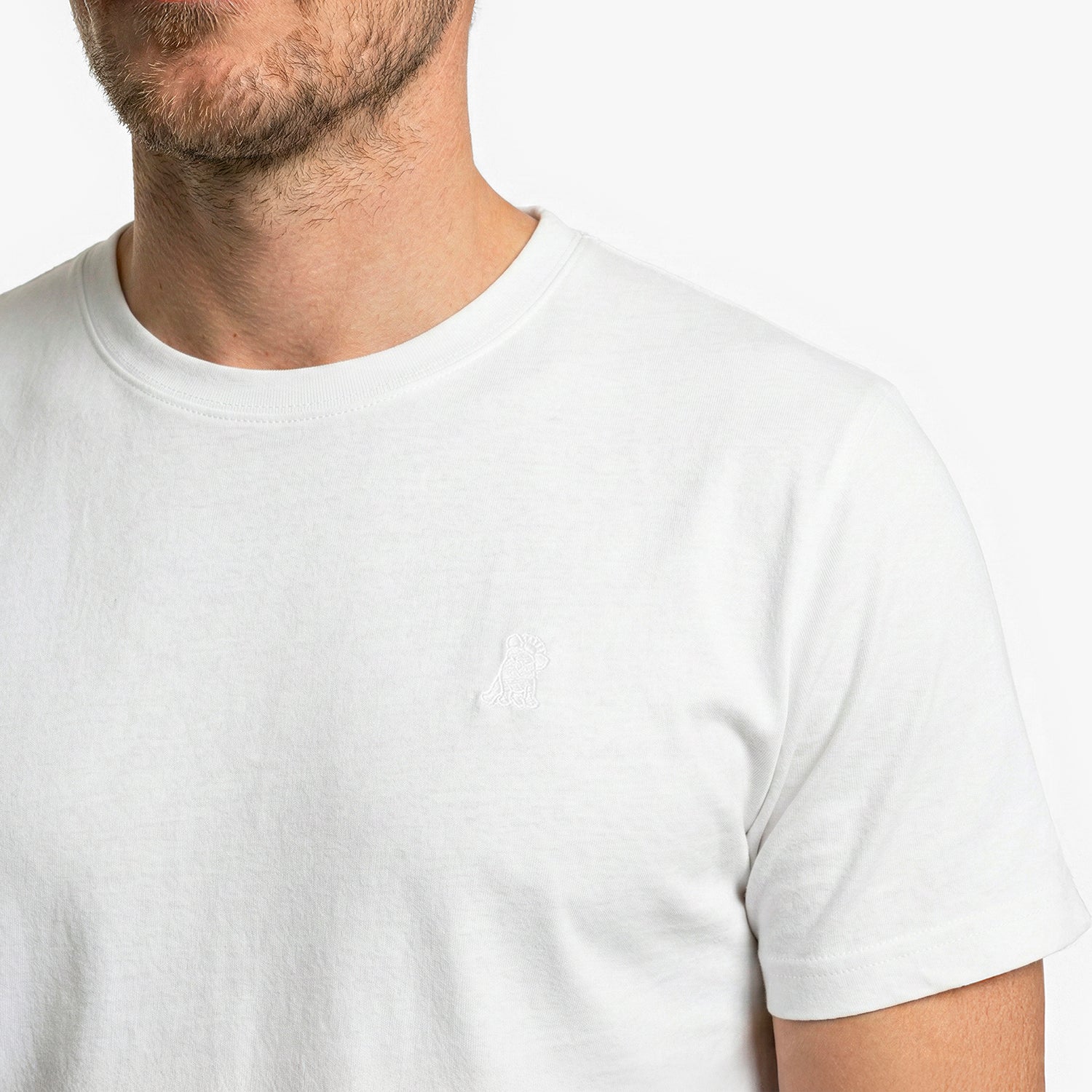 Close-up of a white t-shirt worn by a person on a white background