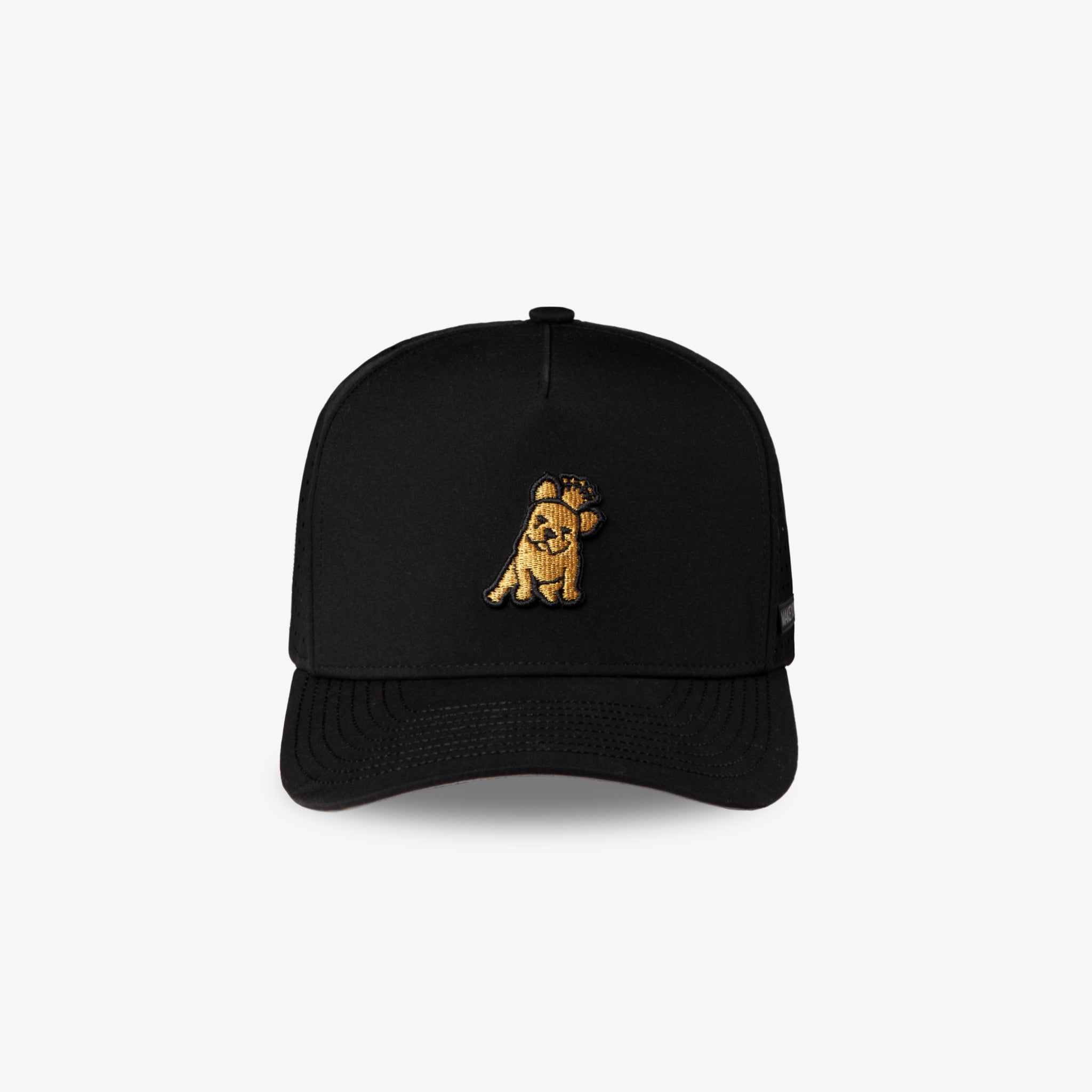 James Bark Black Recycled Cap - Gold Bark - JAMES BARK