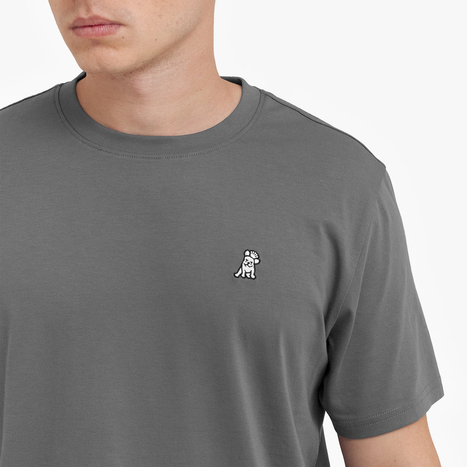 Close-up of a person wearing a gray t-shirt with a small logo on a white background