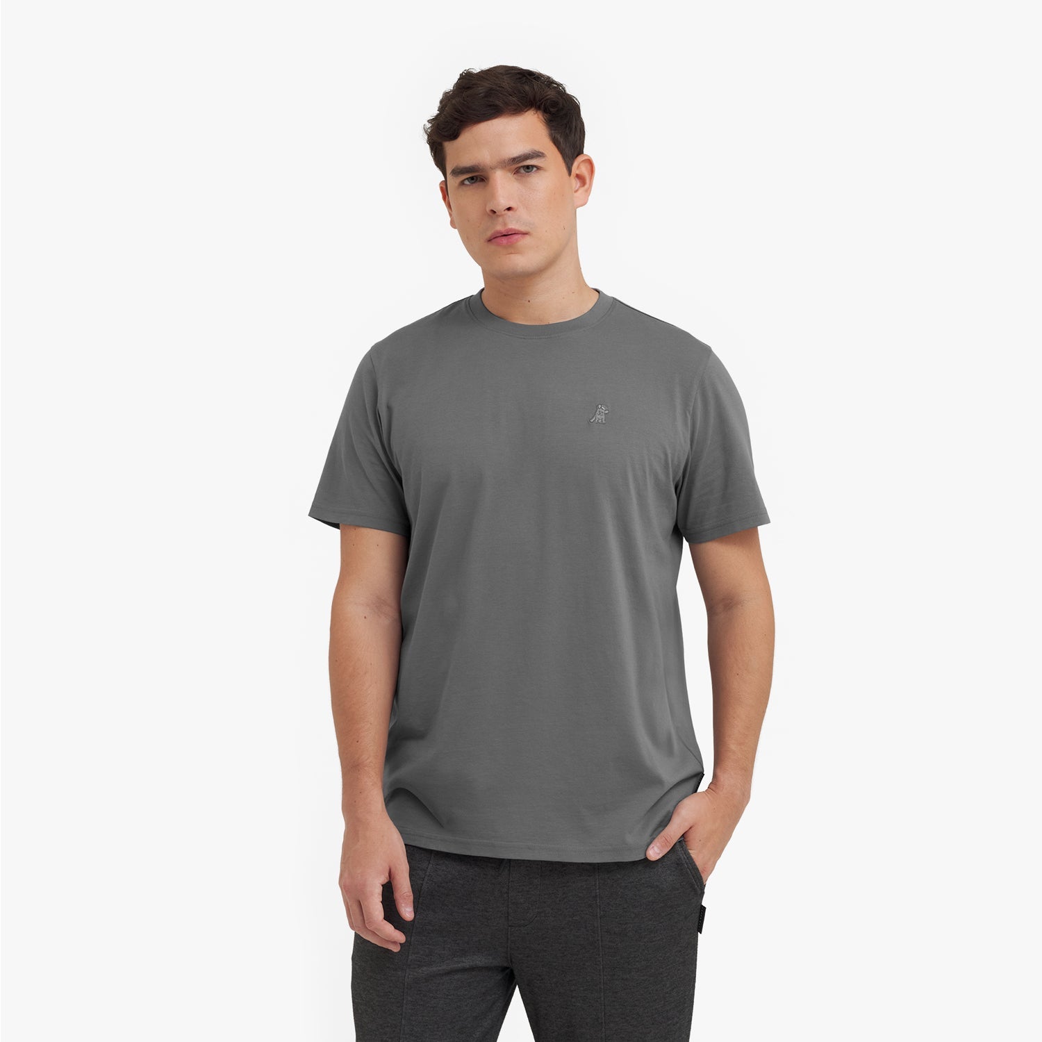 Man wearing a gray t-shirt on a white background