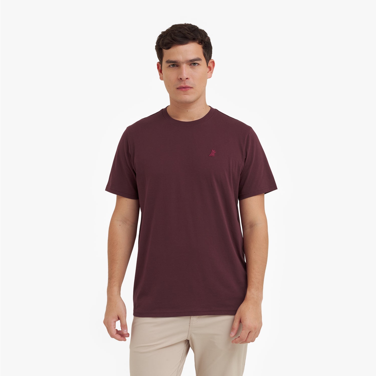 Man wearing a maroon t-shirt with a small logo on a white background
