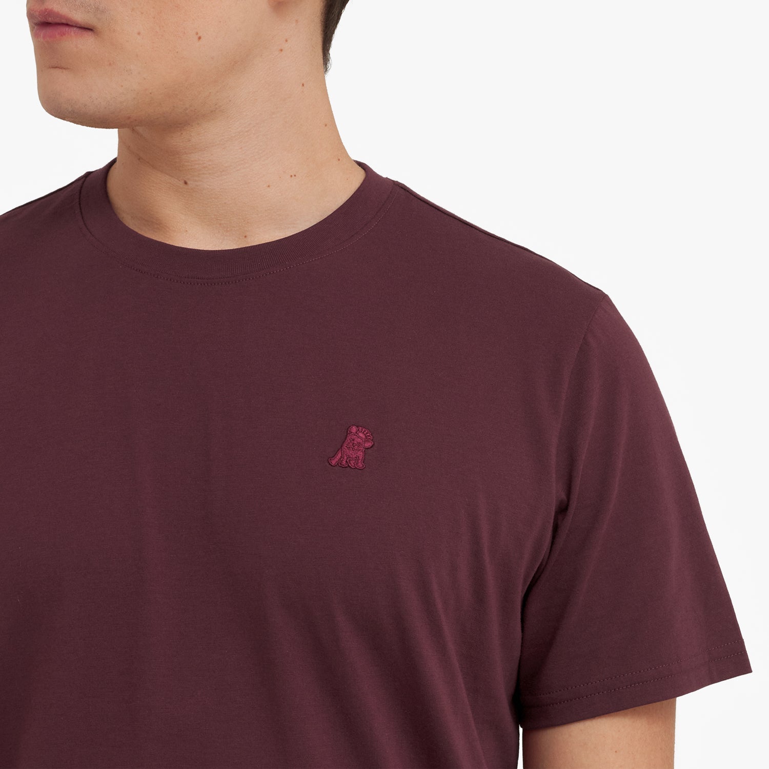 Close-up of a maroon t-shirt with a small red logo on a white background