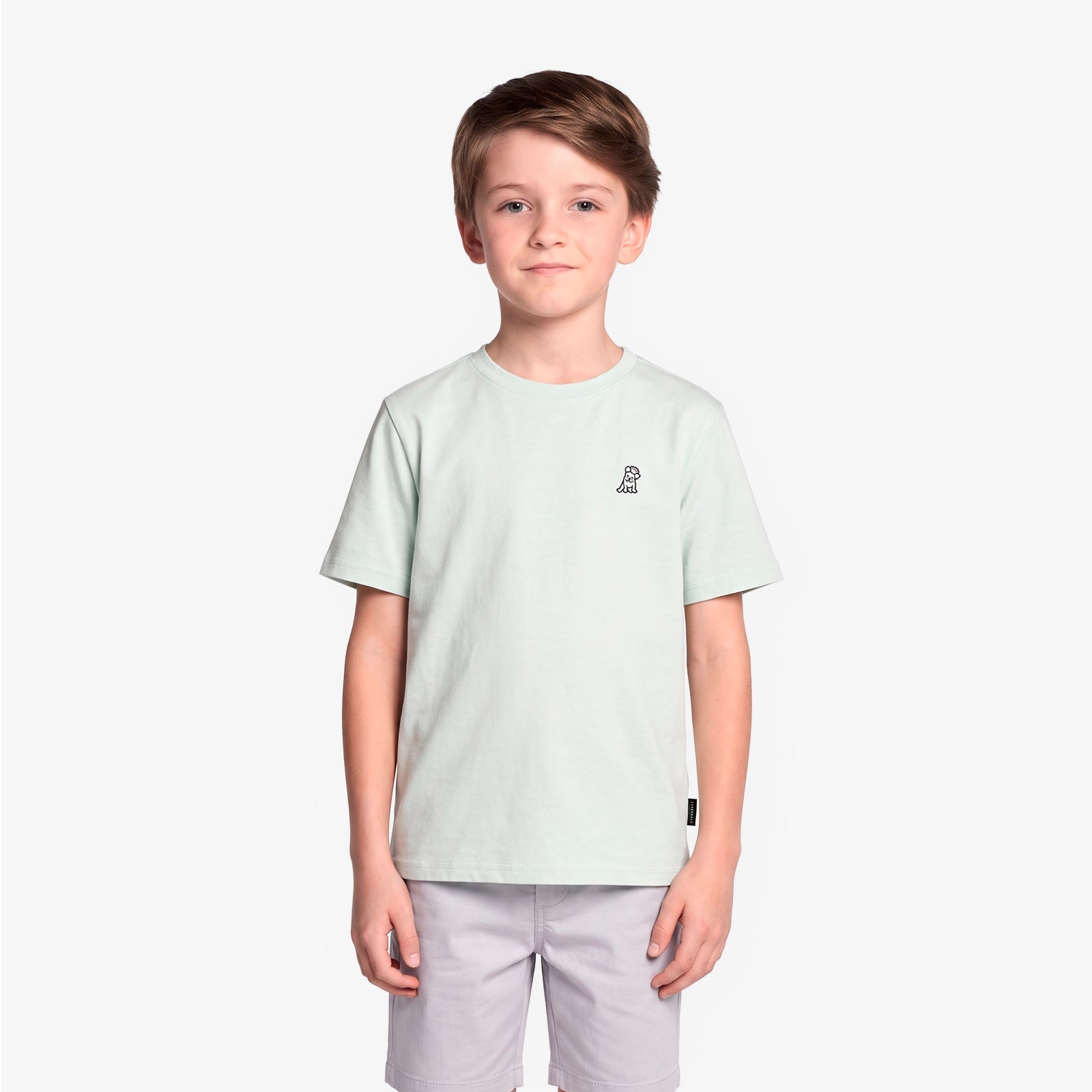 A boy wearing a light mint green T-shirt with a small black graphic on the left chest, paired with light gray shorts